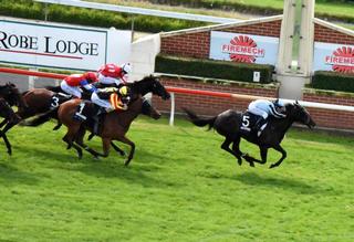 Courte Zarindi (NZ) winning the second leg of the 2018 Southern Filly of the Year Series.